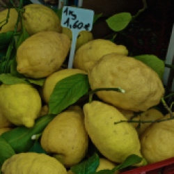 Amalfi Coast lemons! They're huge!!!